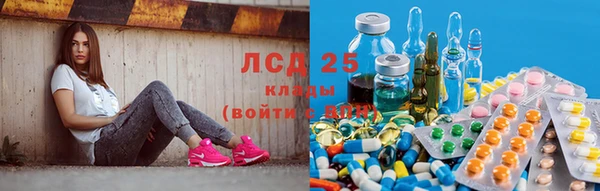 кокс Аркадак